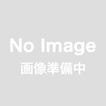 瑞穂　キュービティー　20度